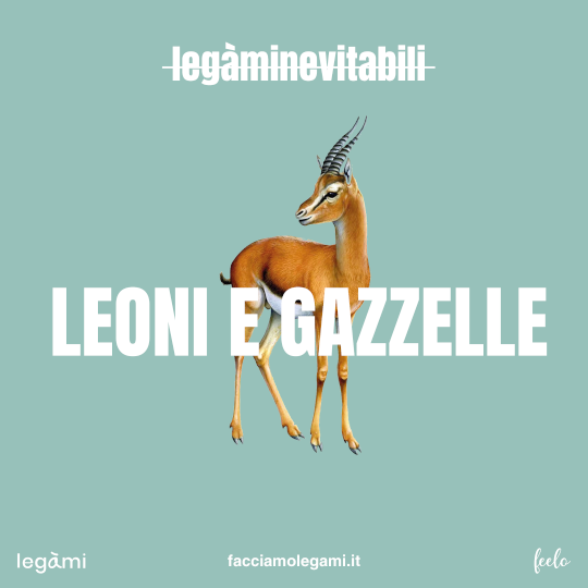 Leoni e gazzelle